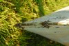 DSC_1069.jpg